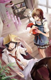 至寵殺手妃
