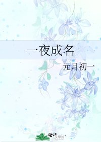 一夜成名